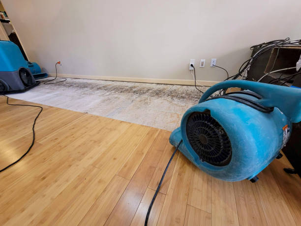 Professional Structural Drying technician working in Martin, SD
